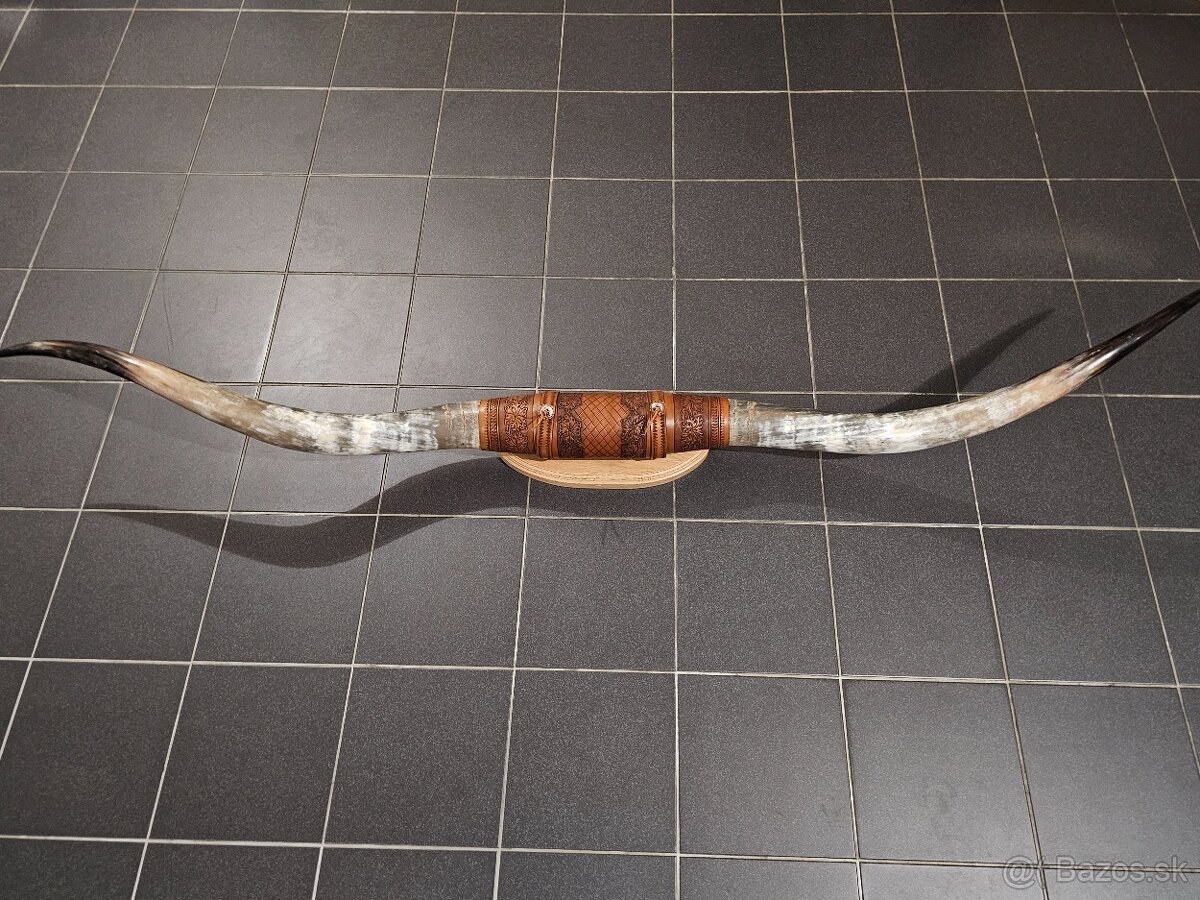 Rohy, Parožie, Trofej - 2