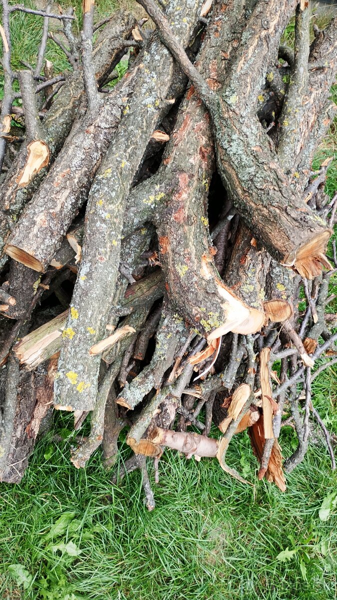 drevo na kúrenie - 2