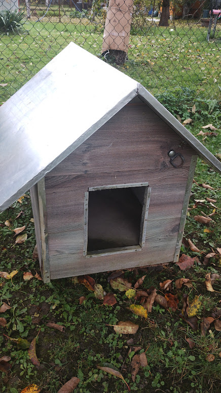 buda pre psika mala - 2