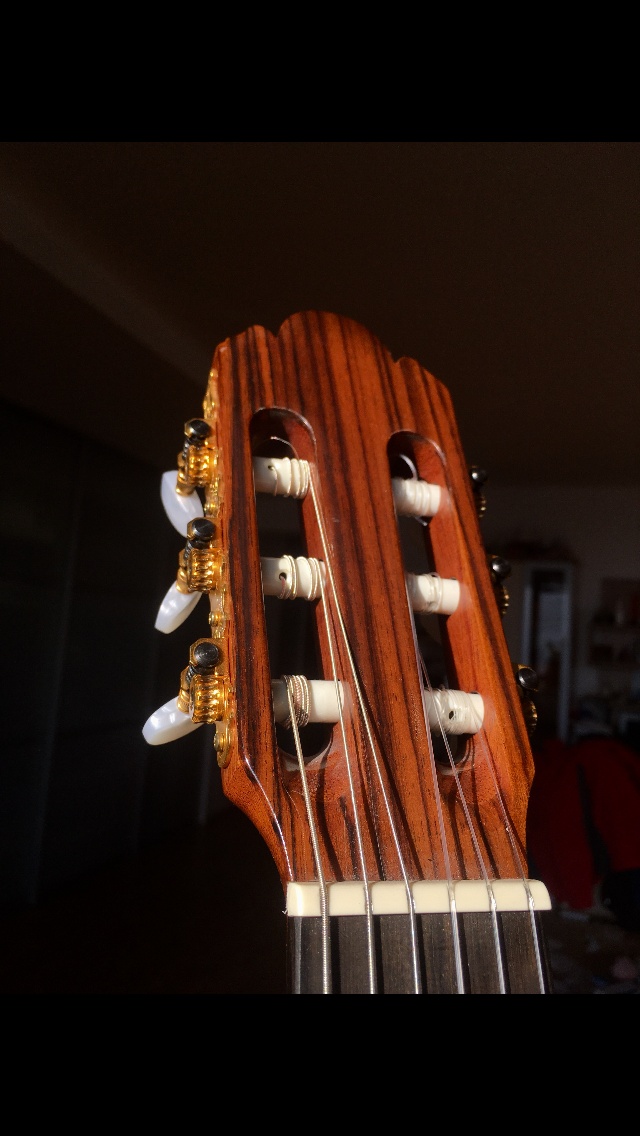 Koncertná gitara z rakúska - 2