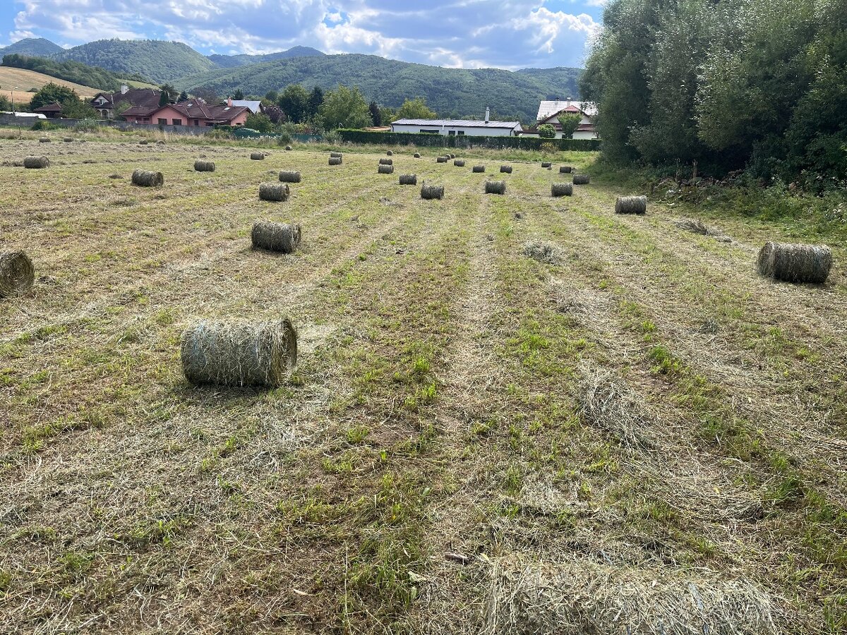 Predám malé baliky sena - 2