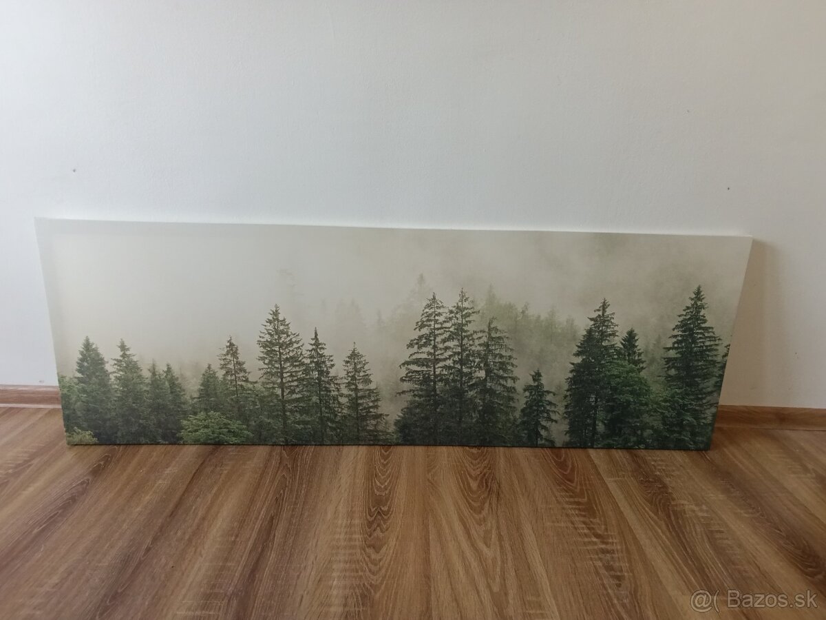 Obraz les - 2