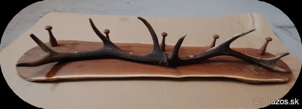 podlozky pod trofej jelen, vesiak z parozia - 2