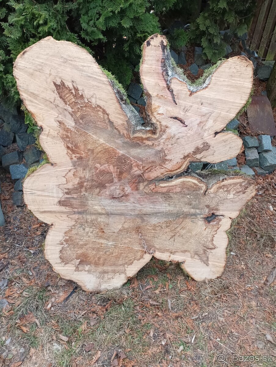 Suché koláče z Habra a Buka - 2