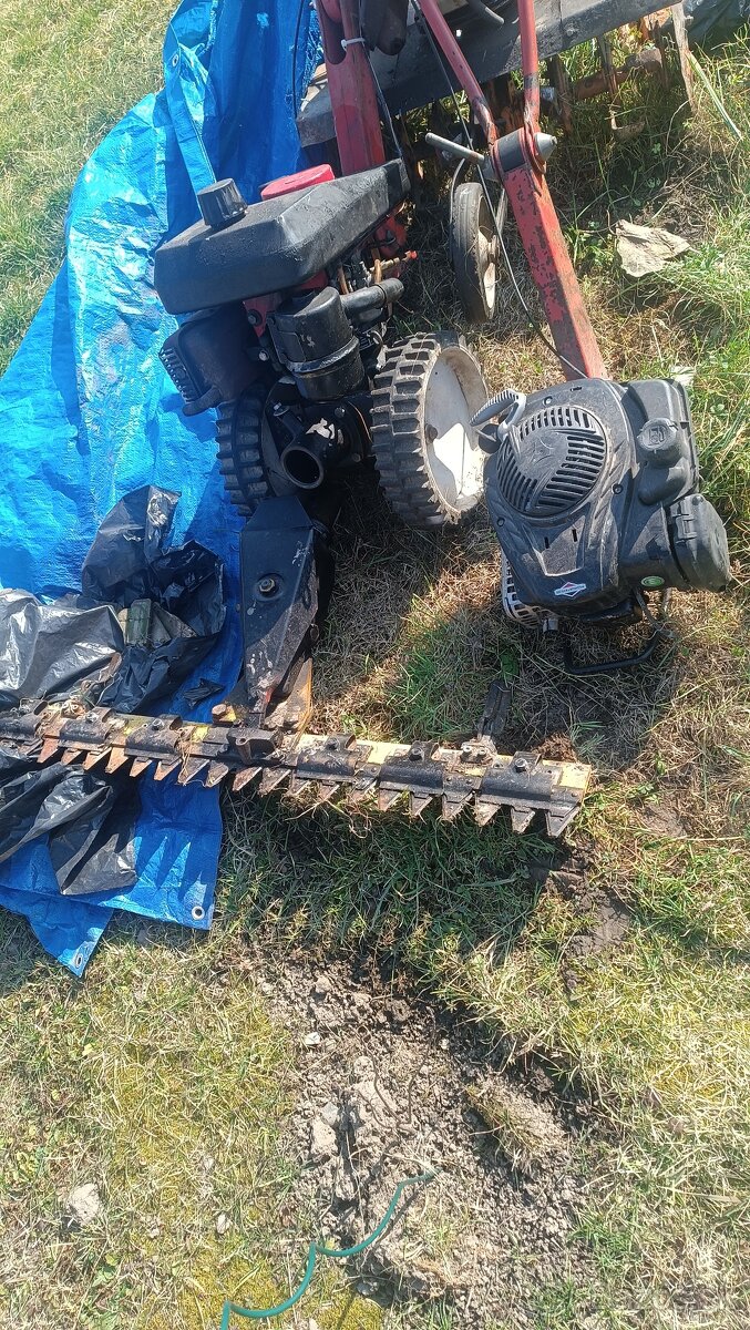 tera variplus zacia lista - 2