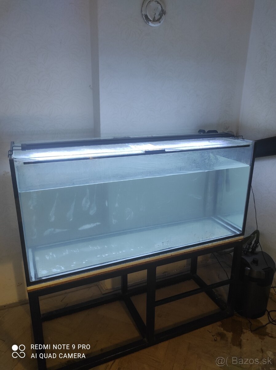 Predam akvarium - 2
