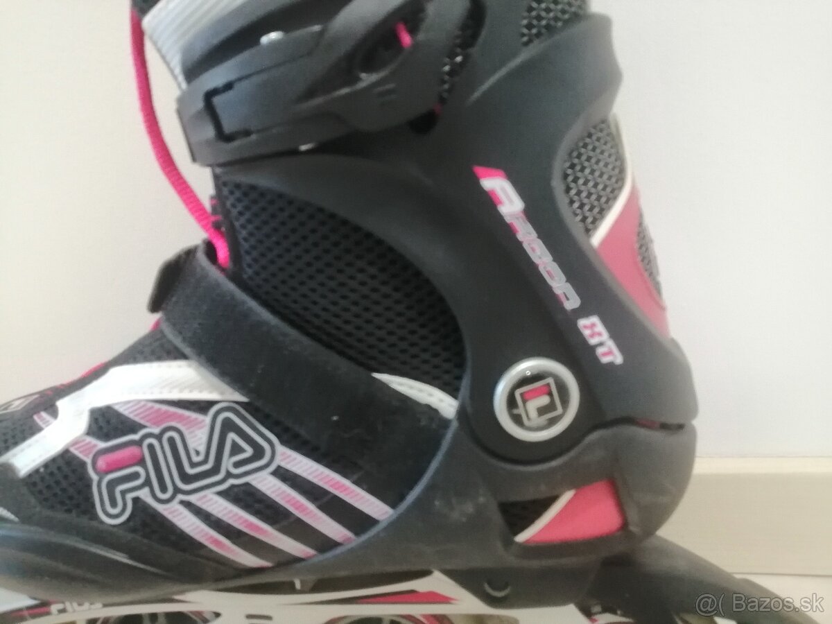 FILA 41 - 2