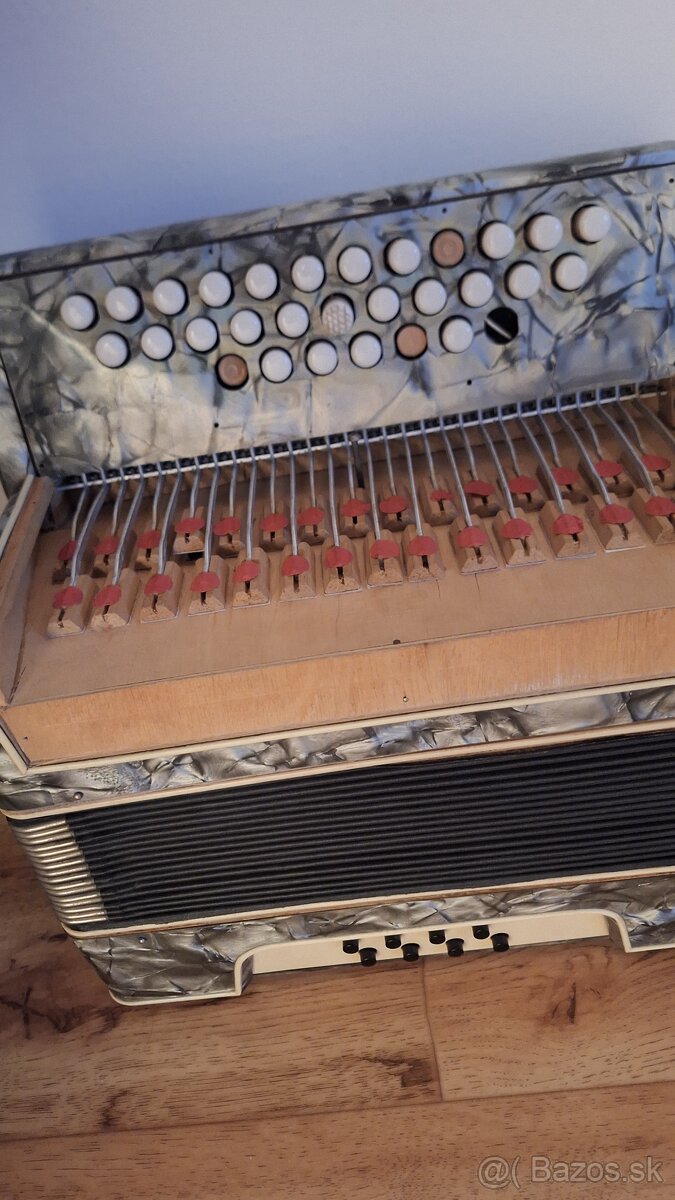 Hohner Club 2 Victoria - 2