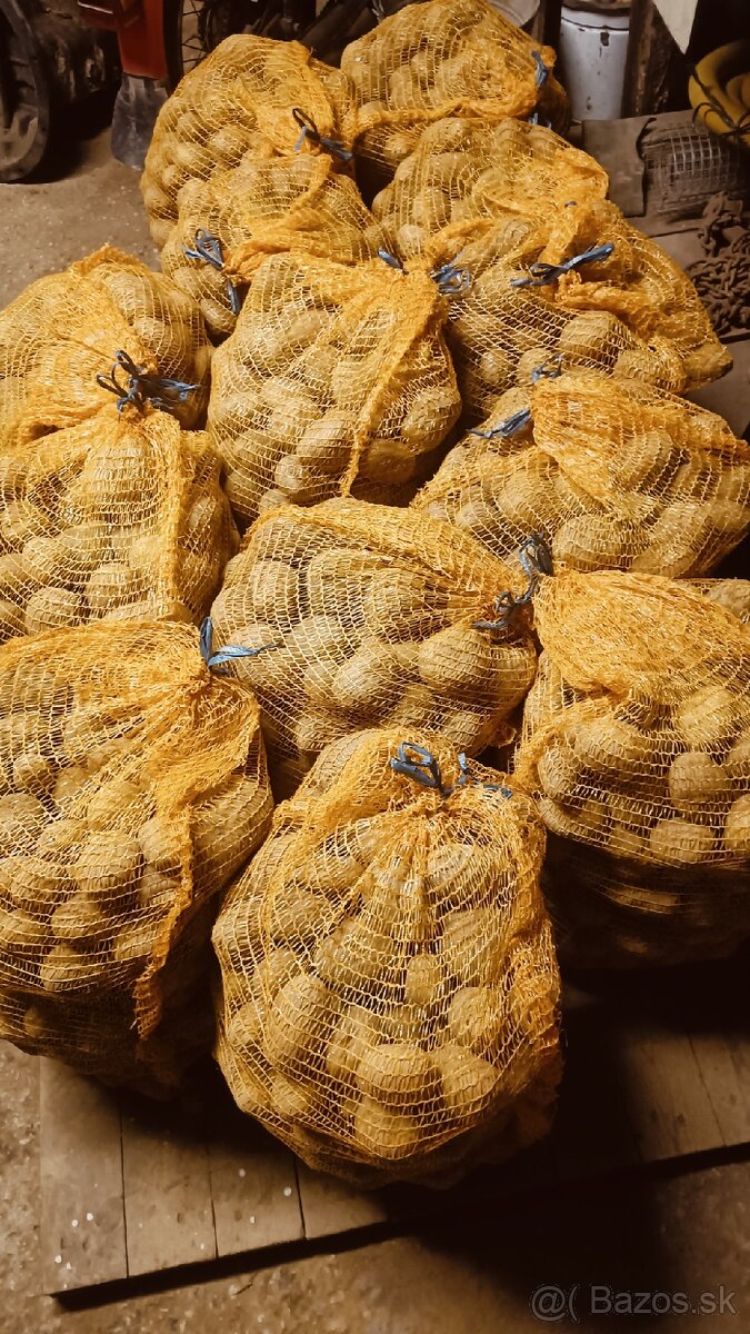 BIO zemiaky - 2