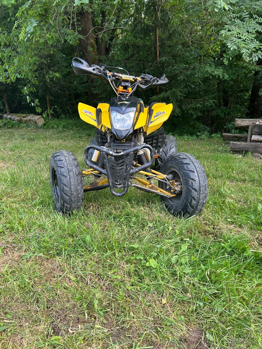 Bashan 200