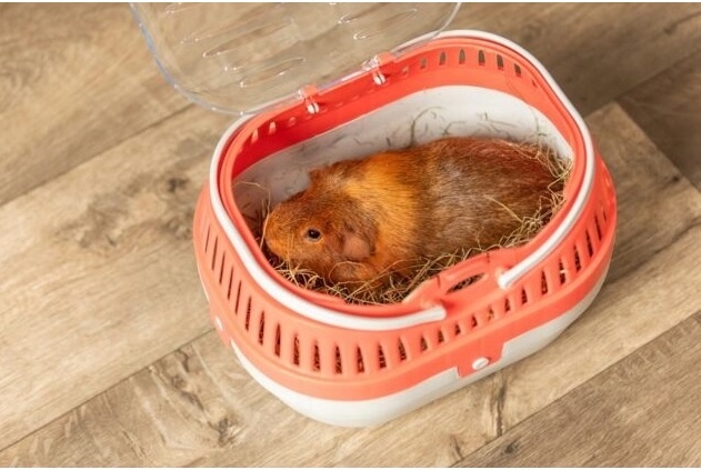 Prepravka Trixie Pico 30 × 21 × 23 cm - nová - 2