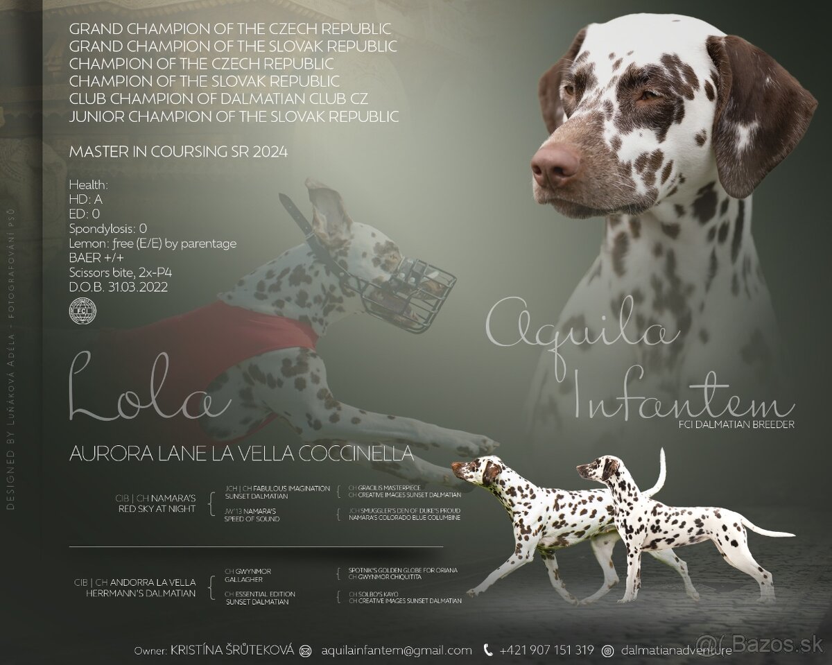 Dalmatin s PP - 2
