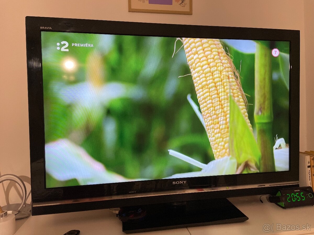 Sony Bravia - 2