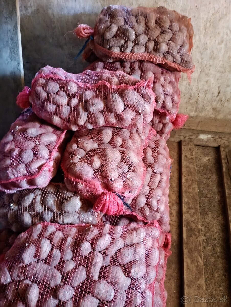 Zemiaky Queen anna - 2