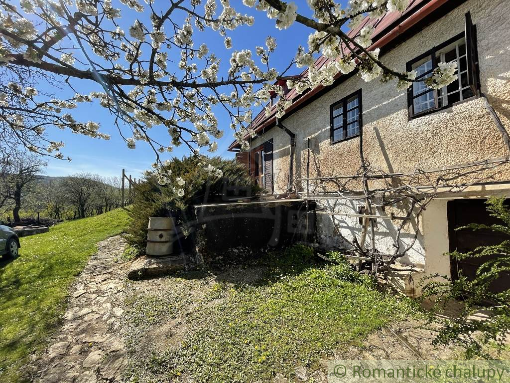 Rozsiahla vinica s historickou chatou v Slovenskom krase - 2