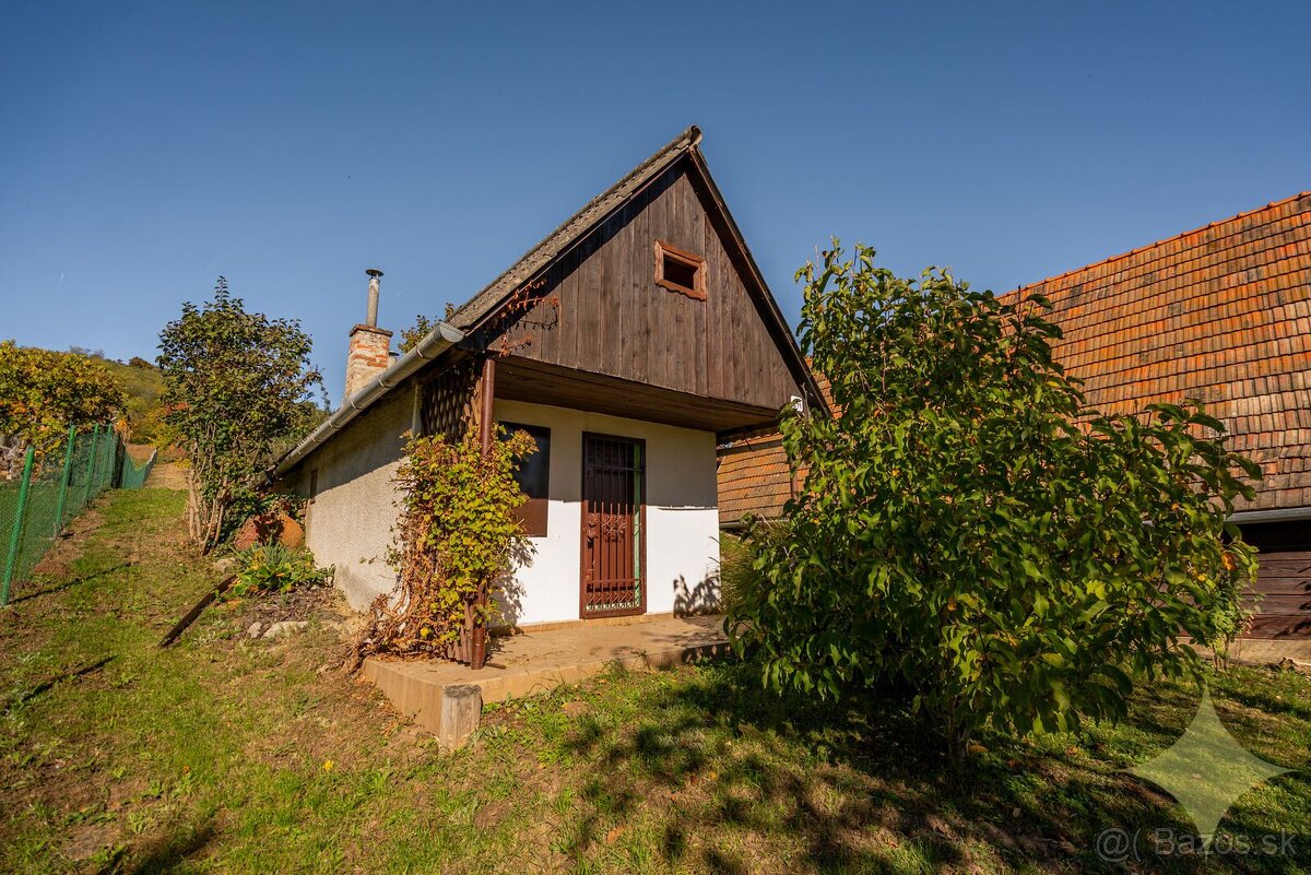 Viničný dom s ovocným sadom "Danka" - 2