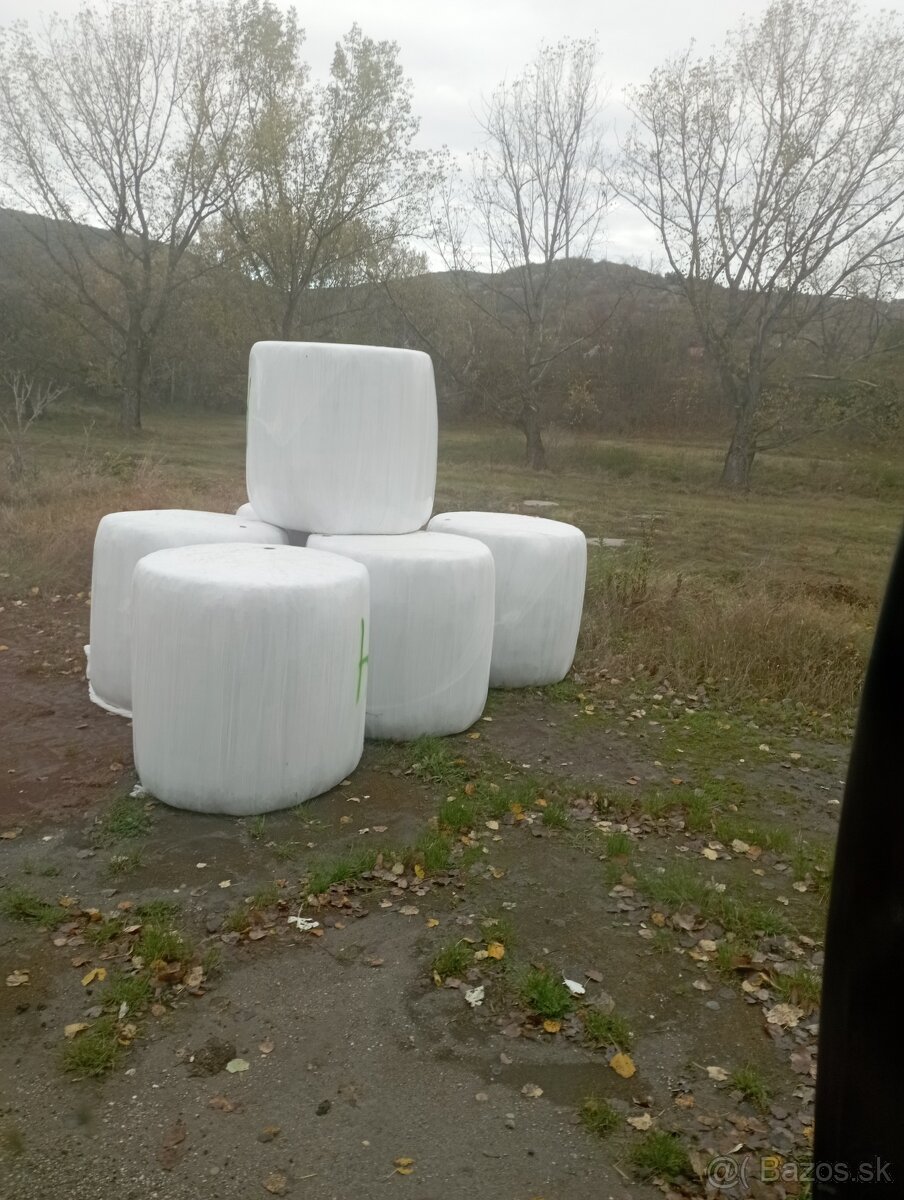 Senaz psenicna slama - 2