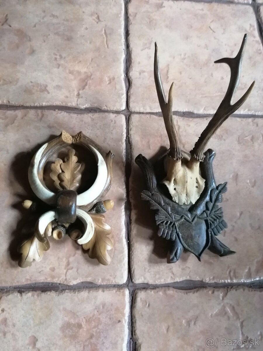 TROFEJE poľovníctvo - 2