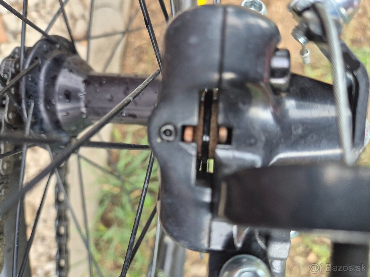 CTM DIRTKING - 2