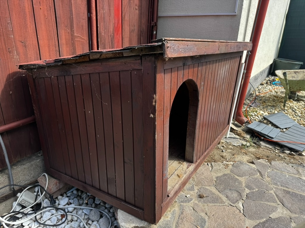 Búda pre psa - 2