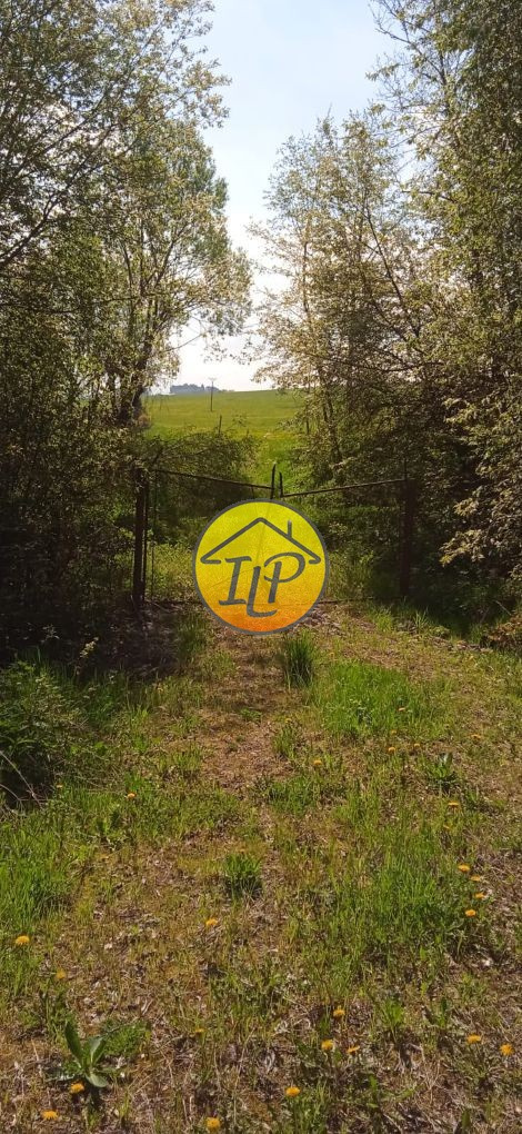 Pozemok 5656 m2 so starým domom na predaj v meste SNV. - 2