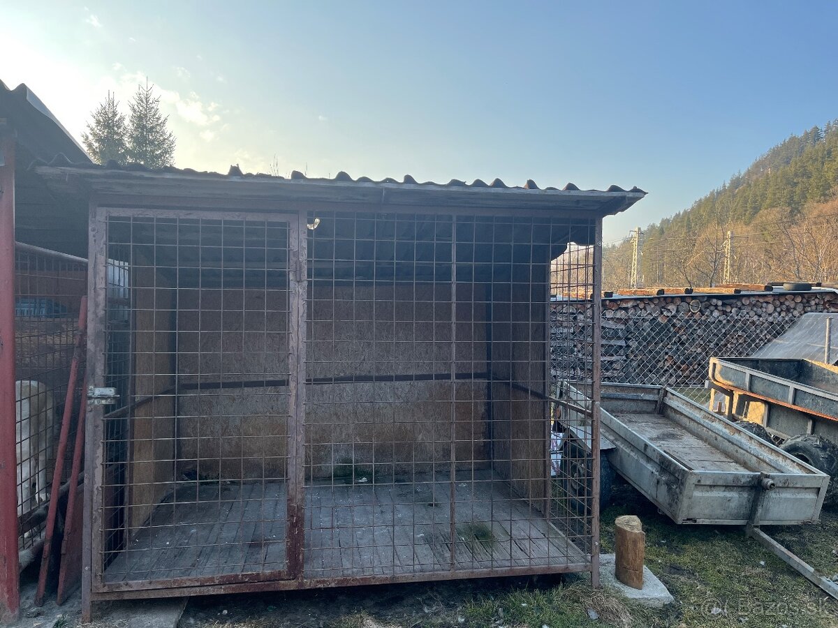 Predam psiu budu. - 2