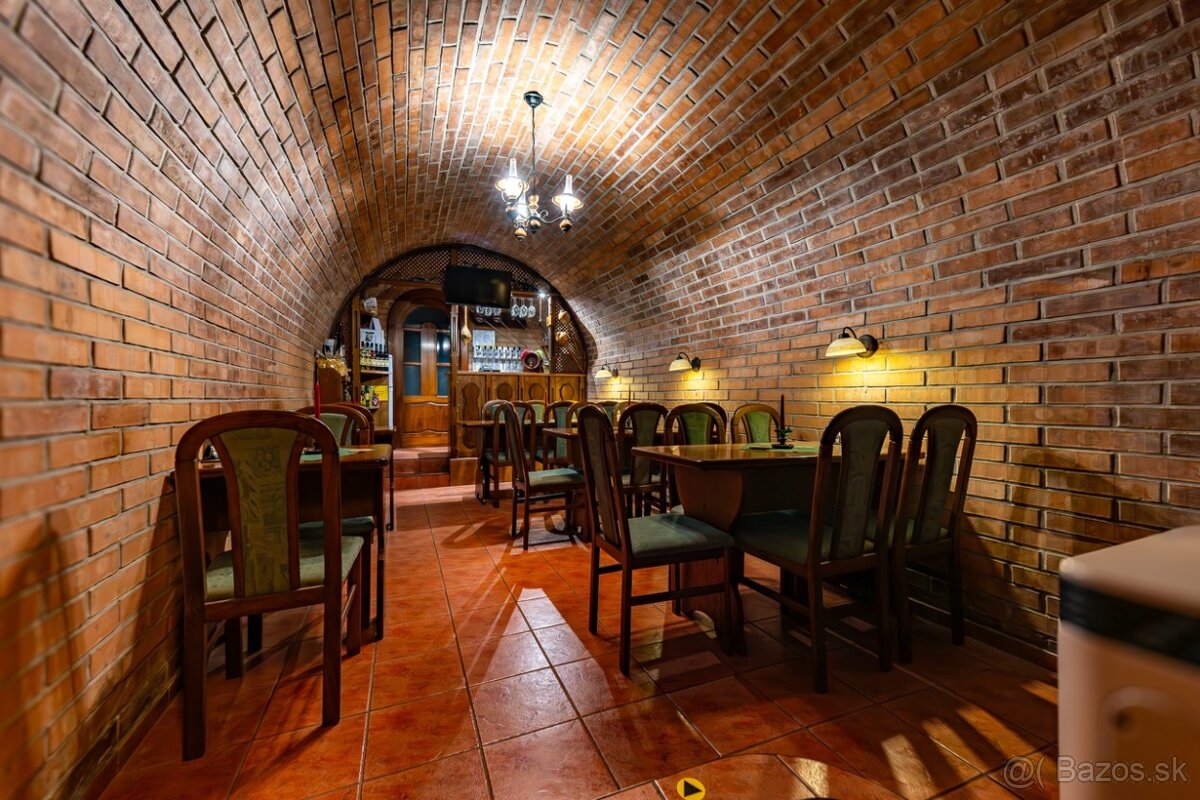 Priestor na podnikanie + garáž - 2