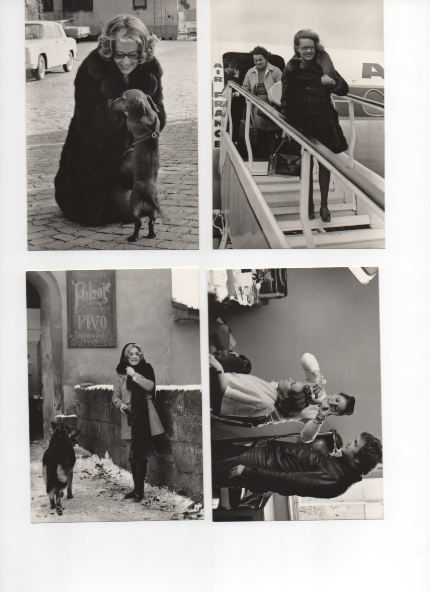 SUBORY POHLADNIC HERCI - 2