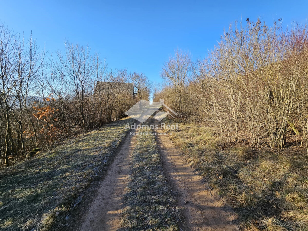 ZÁHRADA - TURŇA NAD BODVOU/ZÁDIEL - 2