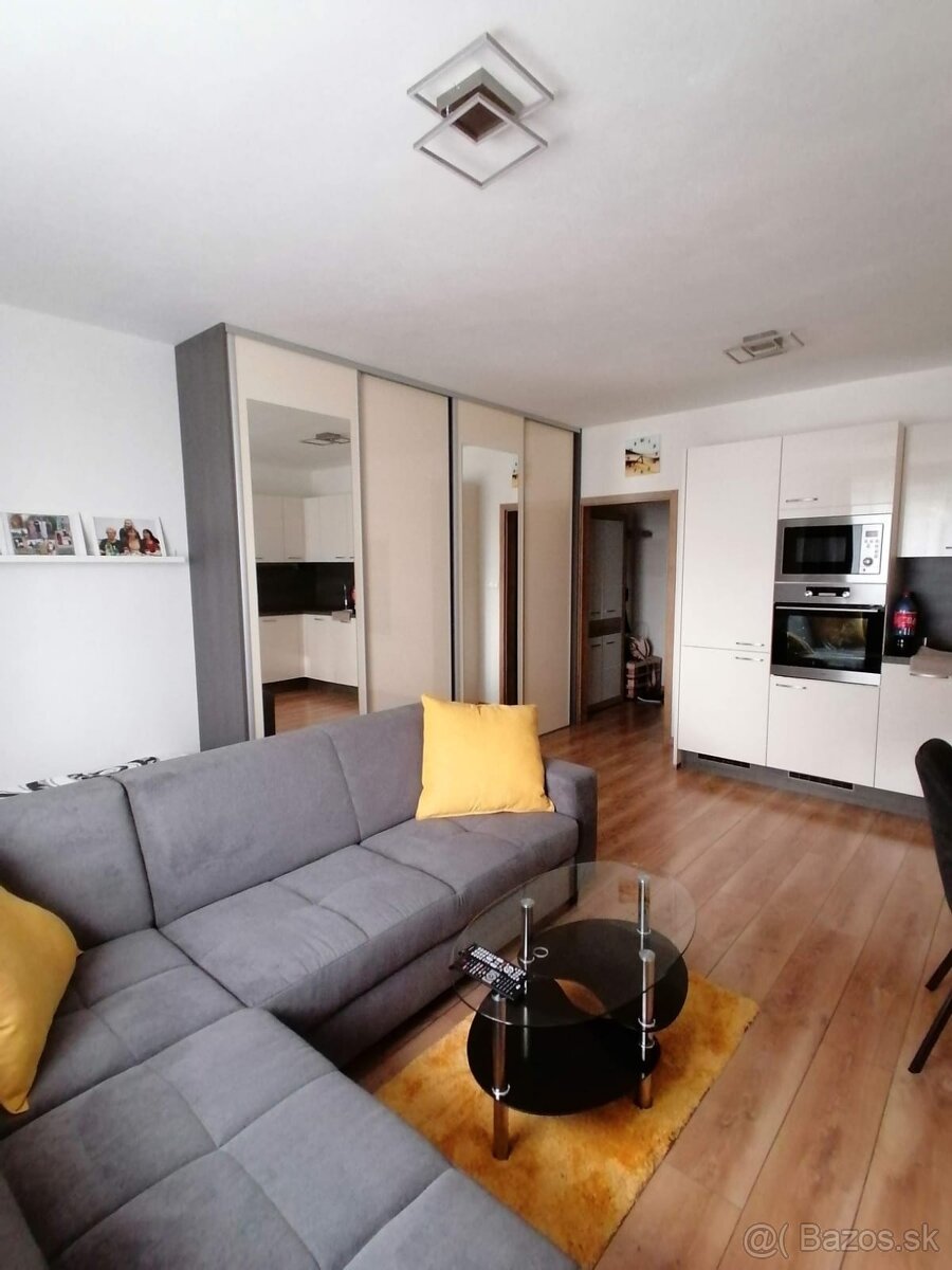 Prenajom bytu garzonky obec Závod - 2