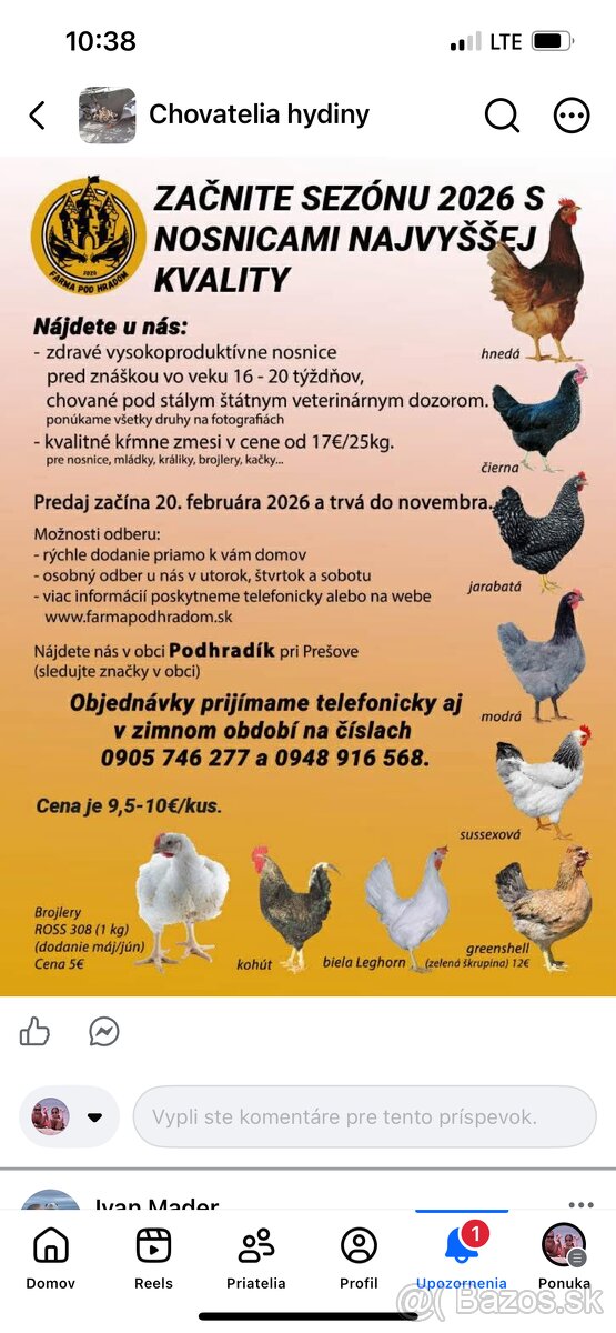 Mládky,kurčata ,nosnice - 2