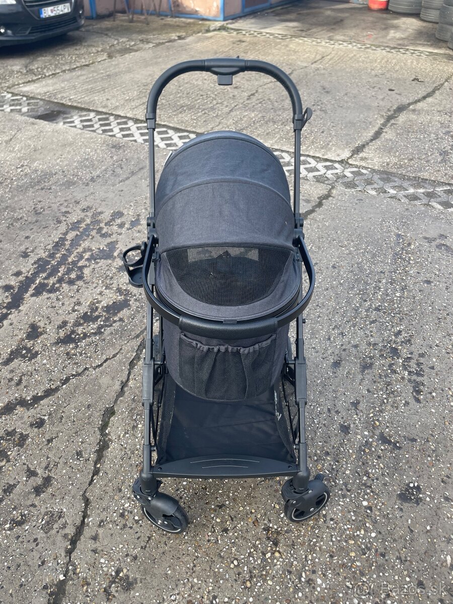 Kočik pre psika - 2