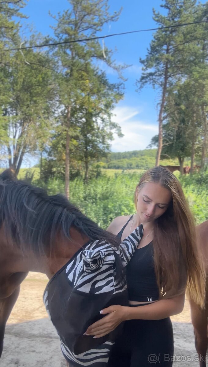 Vycvik koni, jazdcov - 2