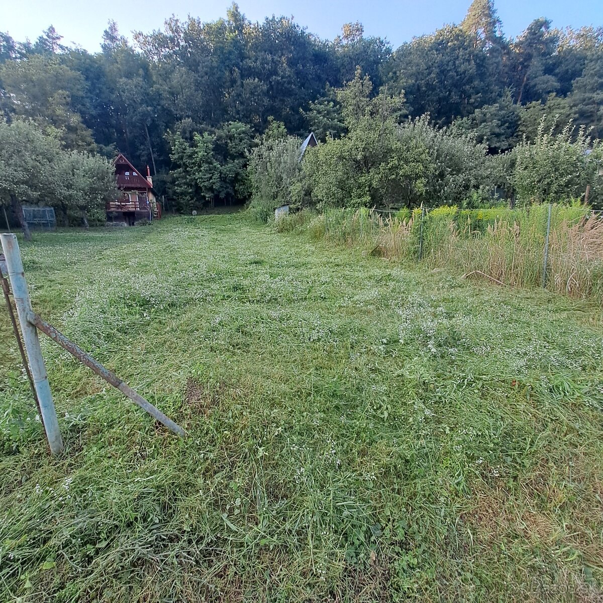 Vasas-záhrada - 2