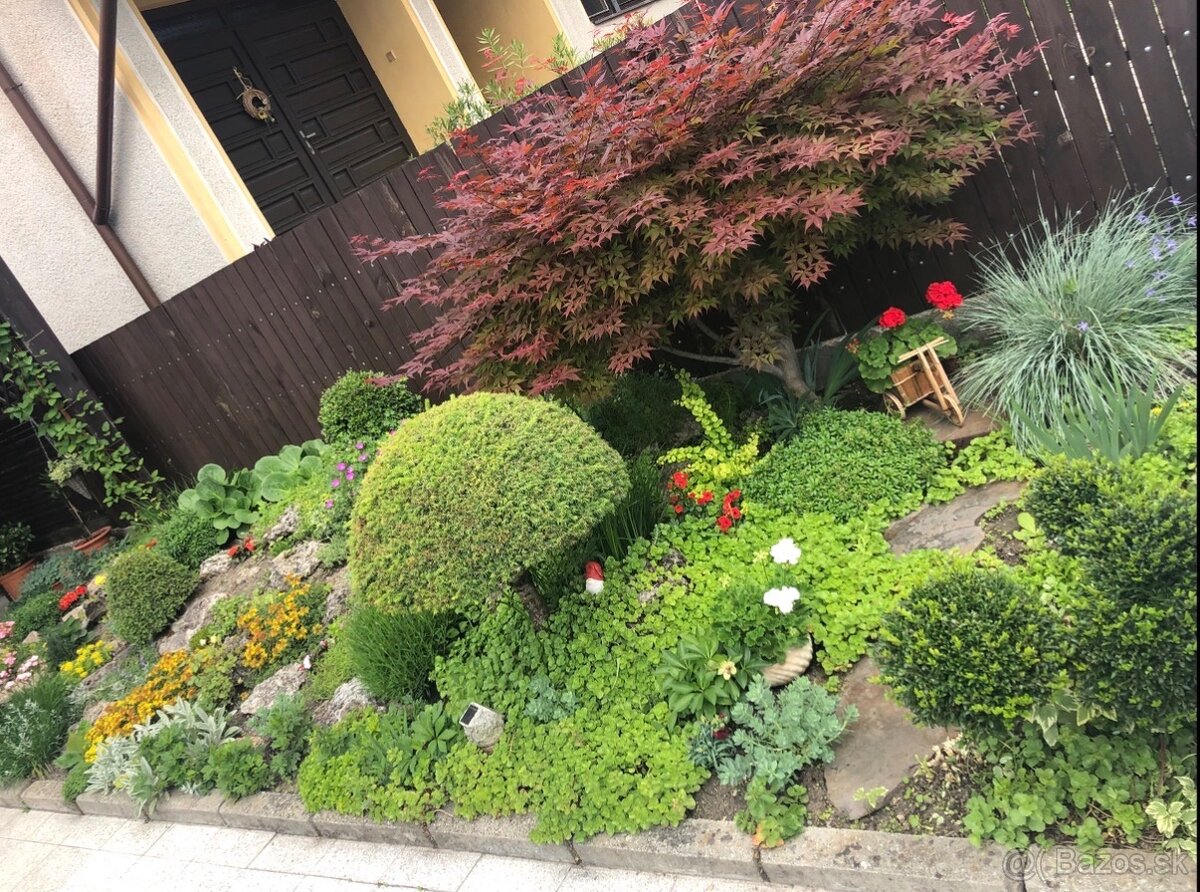 Krásny dom v Tornali napredaj - 2