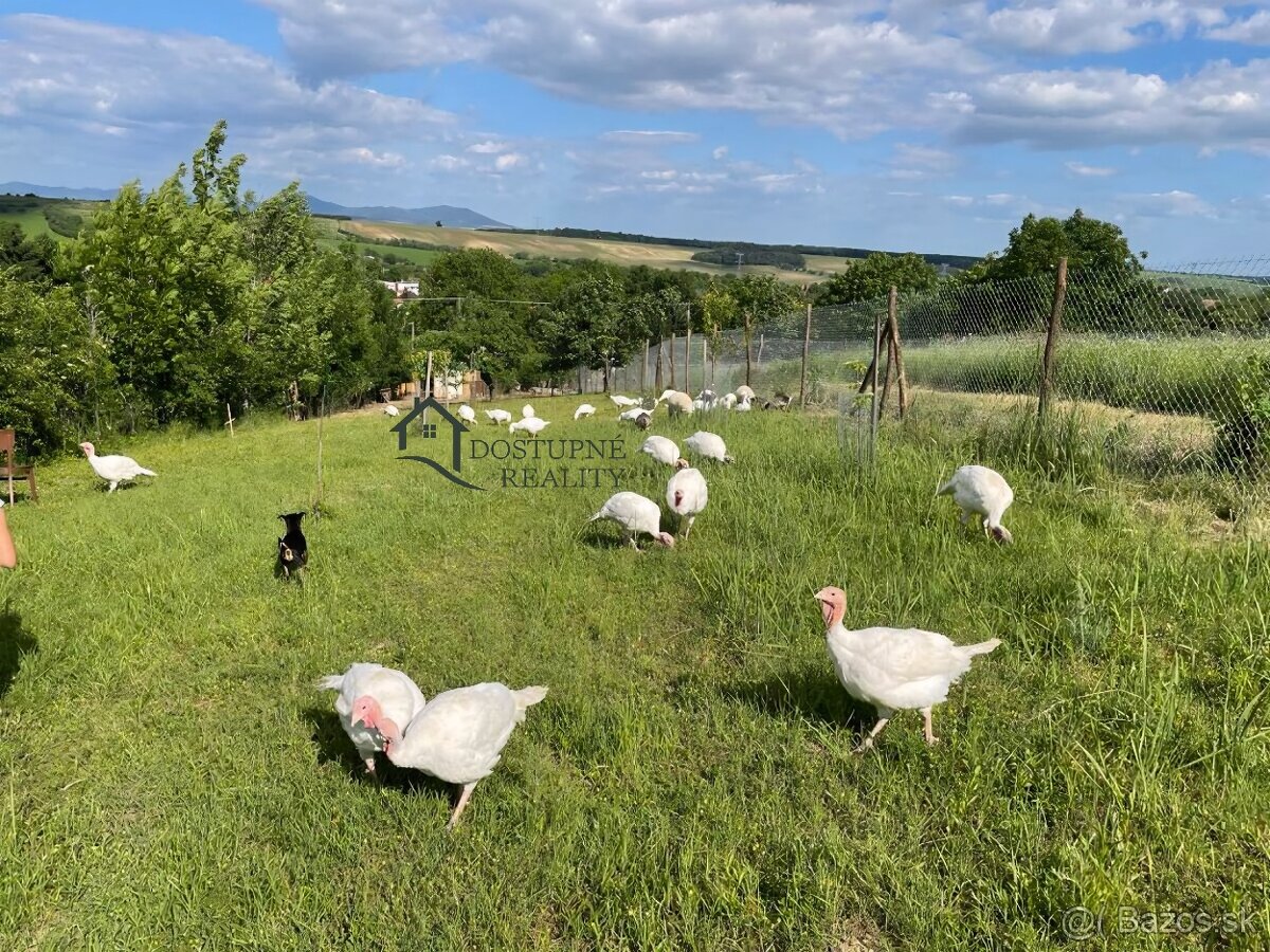 Na predaj Chalupa s veľkým pozemkom-Sasinkovo len 10km od HC - 2