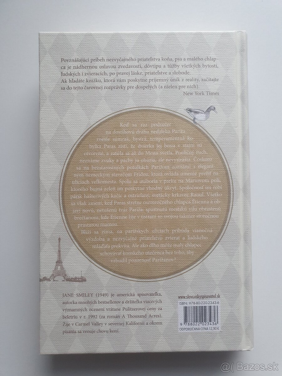 Tuláci v Paríži, Jane Smiley - 2