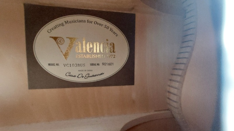 Detská gitara Valencia VC201 - 2