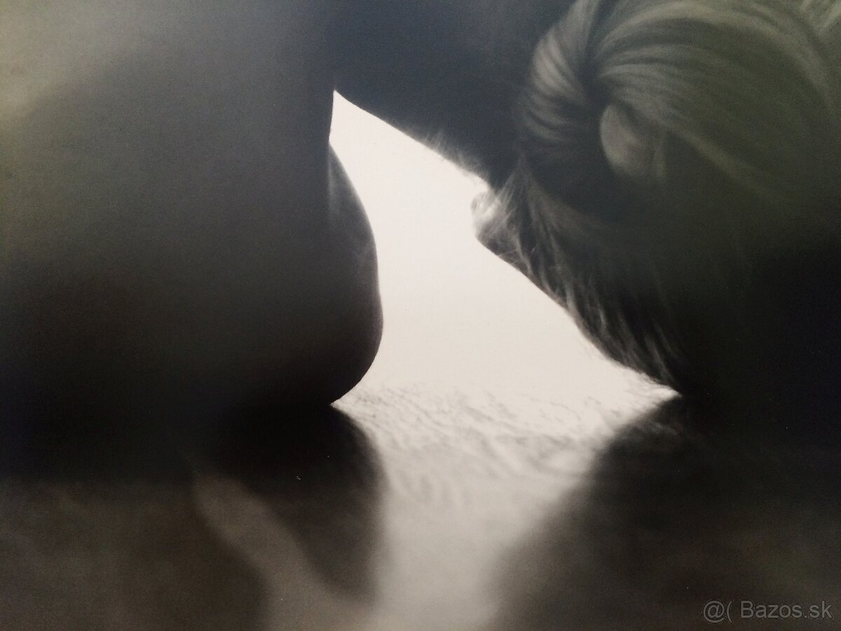 Jaroslav Yari Beňo - Bez názvu - 2