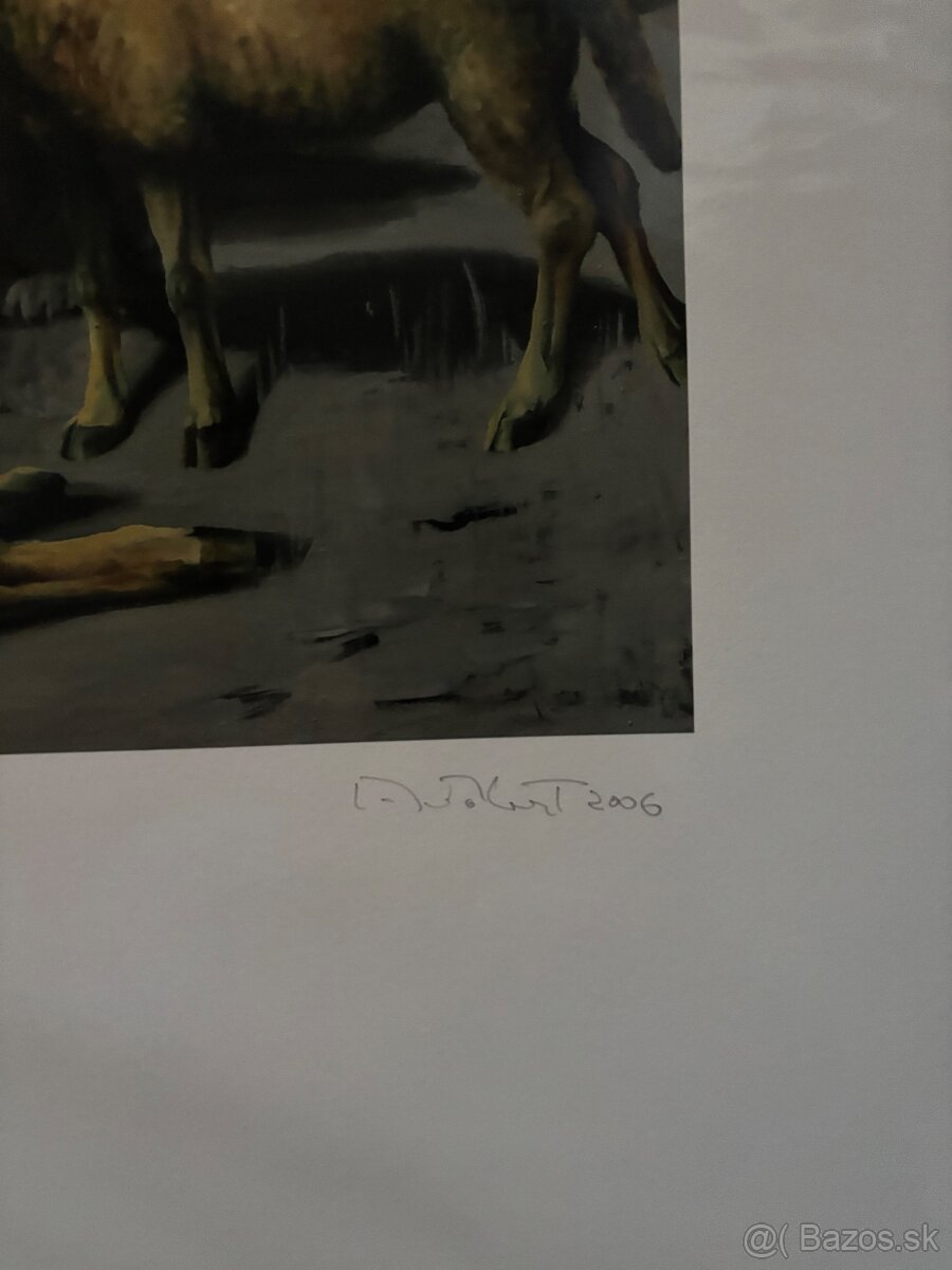 Róbert Bielik - pastierik - 2