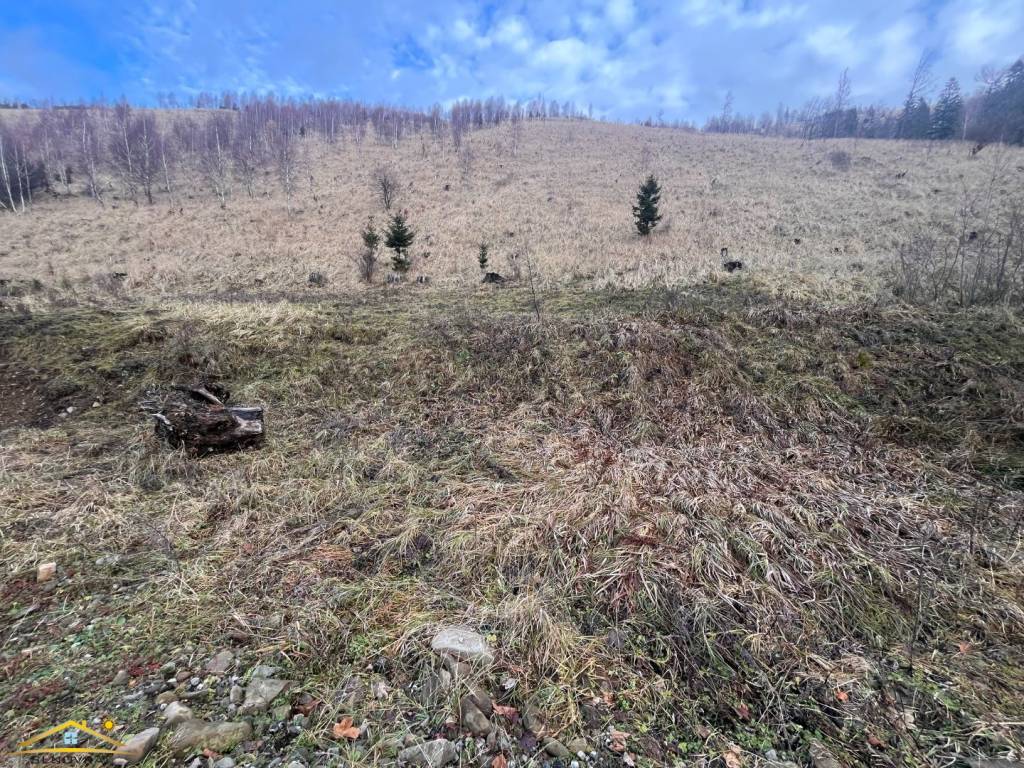 Predaj: Stavebný pozemok v obci Oščadnica (265 - 2