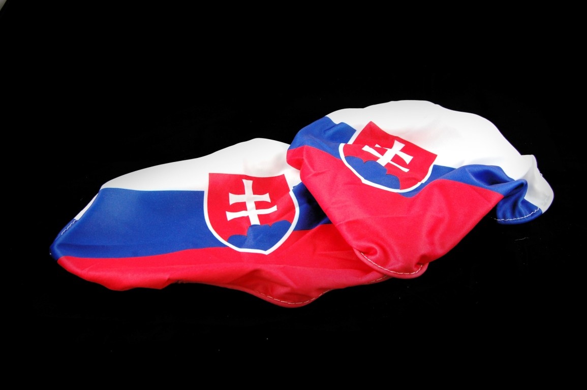 PRE FANÚŠIKOV HOKEJA - NÁVLEKY NA ZRKADLO + SLOVENSKÁ VLAJKA - 2