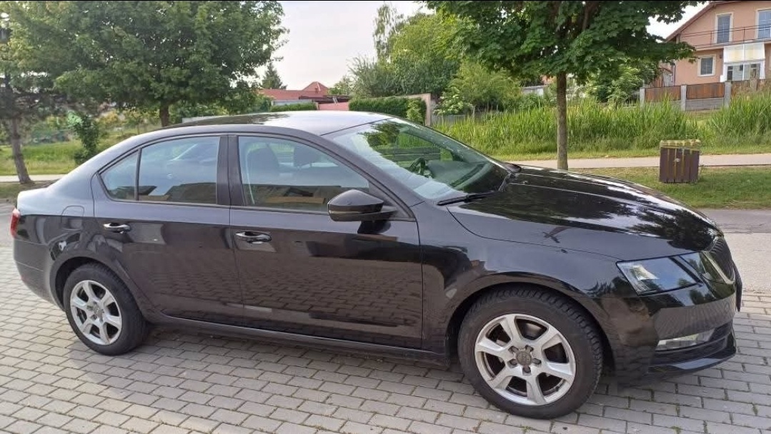 Disky na OCTAVIA 3 (AUDI) 205 55 R16 ZIMNE - 2