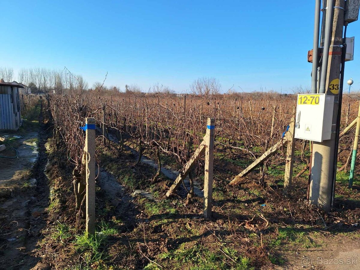 Tehlový vinársky dom - Exkluzívne u nás - 2