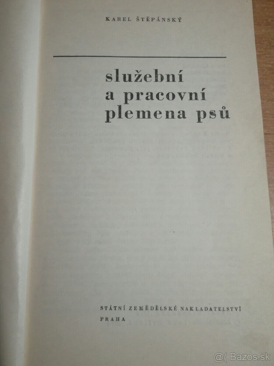Služební a pracovní plemena psů - 2