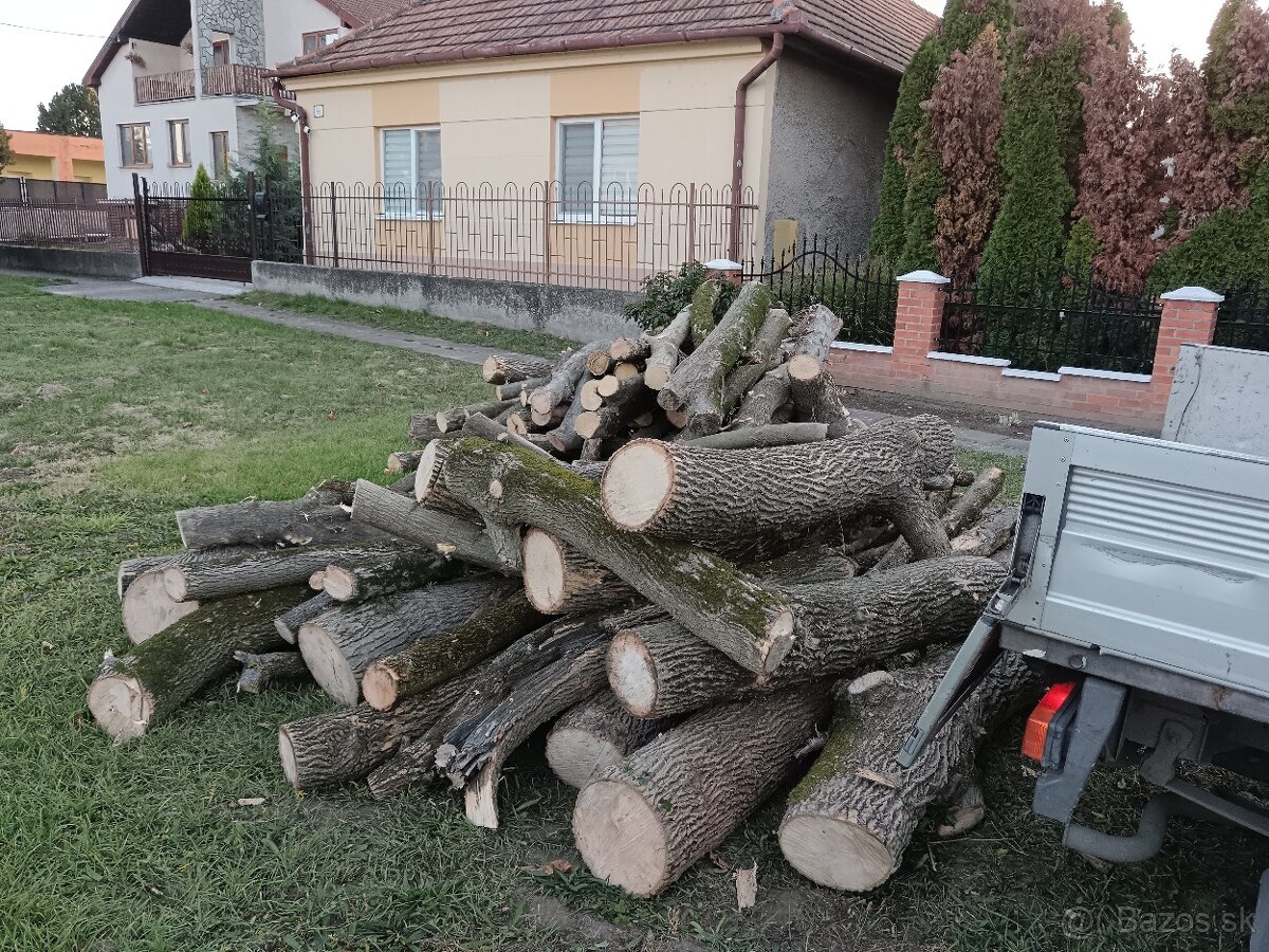 palivové drevo - 2