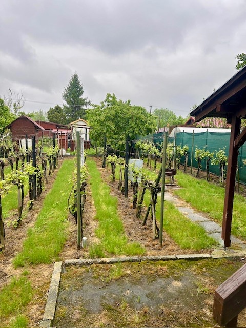 Na predaj celoročne obývateľná chatka Kvitnúci ostrov - 2