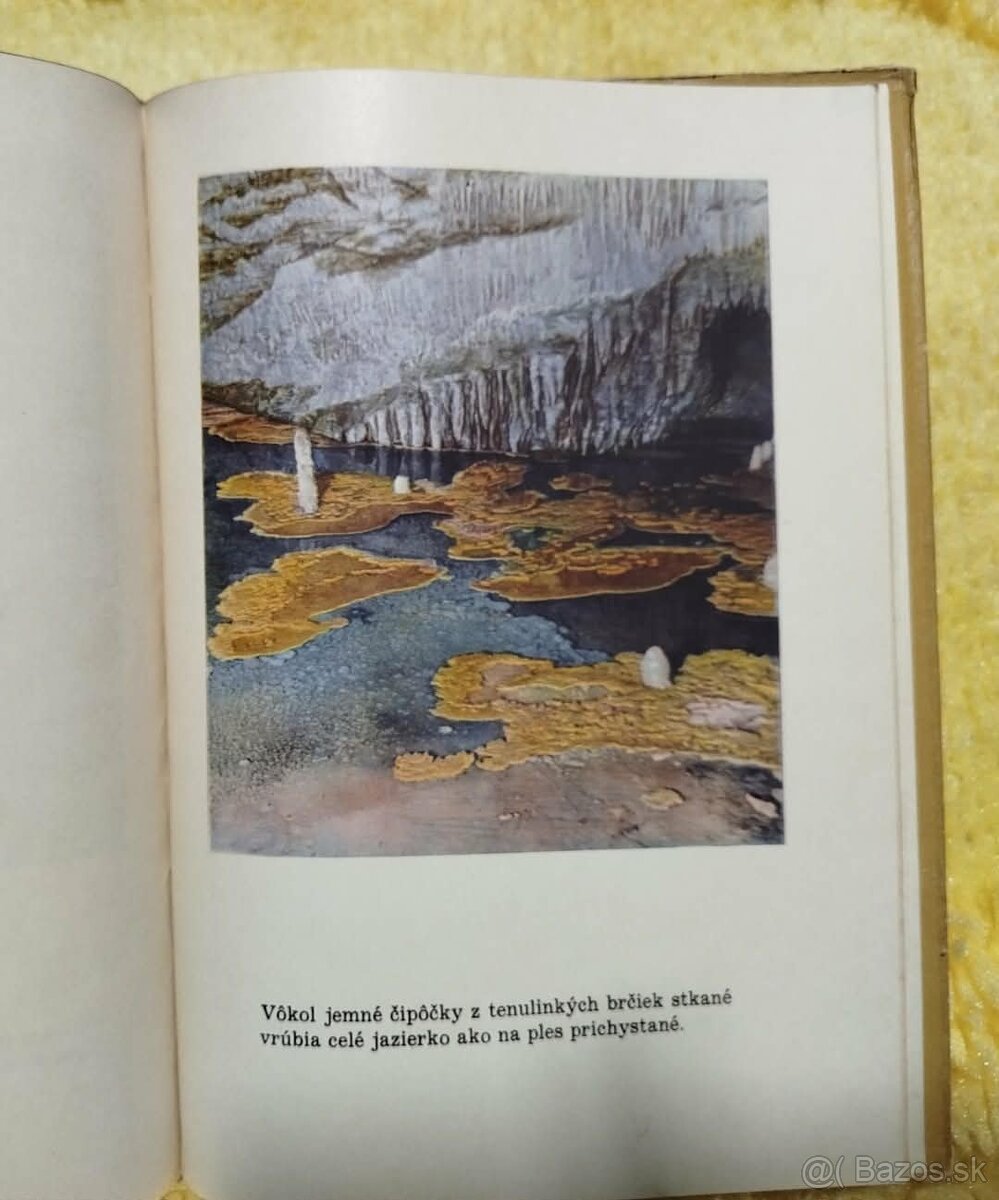 Výlet do Demänovských jaskýň--1956--Vojtech Benický, Július - 2
