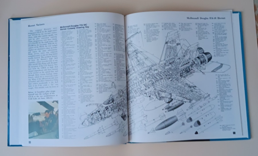 Predán knihu McDonnel Douglas F/A-18 - 2