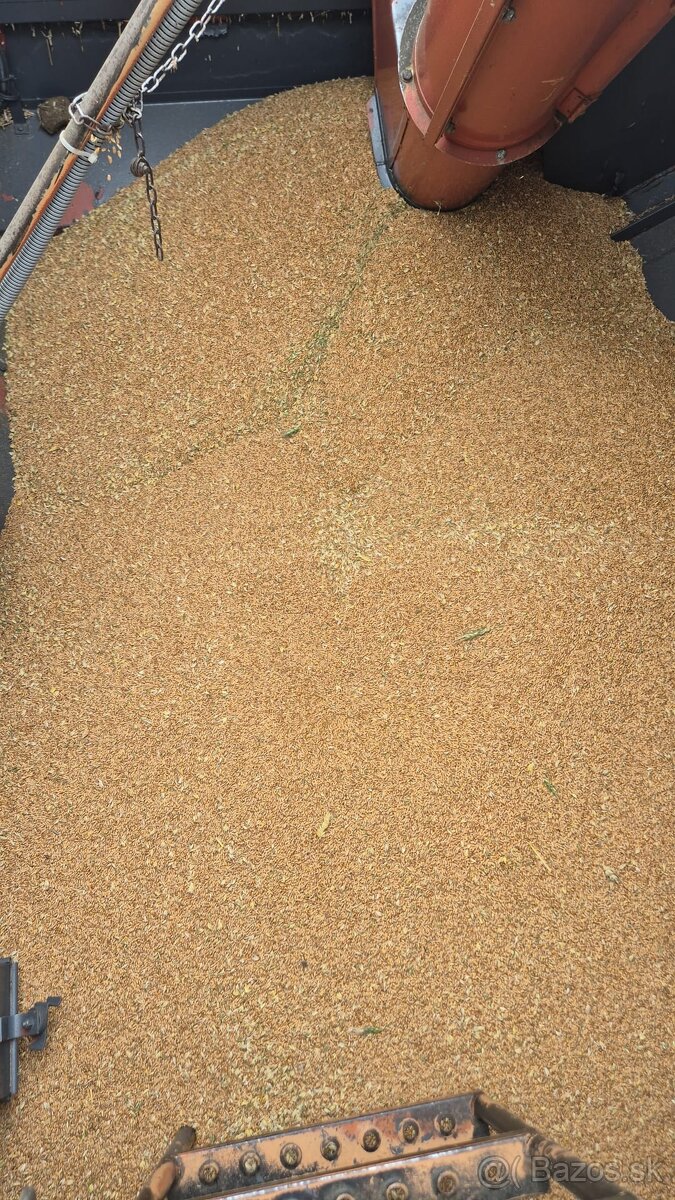 Kombajn New Holland - 2